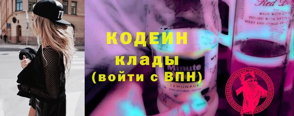 мдпв Карпинск