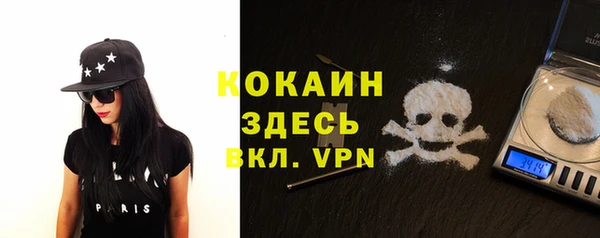 сатива Козловка