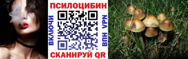 Псилоцибиновые грибы MAGIC MUSHROOMS  что такое наркотик  Куса 